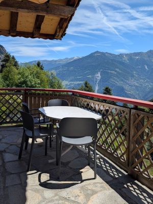 Pimprenelle cozyalpine (11)