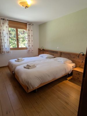 Pimprenelle cozyalpine (2)