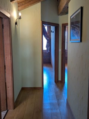 Pimprenelle cozyalpine (3)