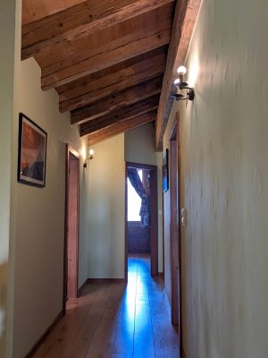 Pimprenelle cozyalpine (4)