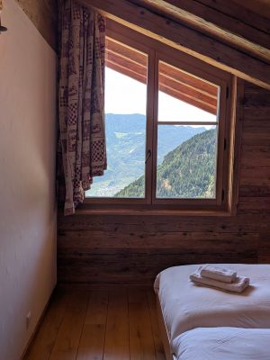 Pimprenelle cozyalpine (5)