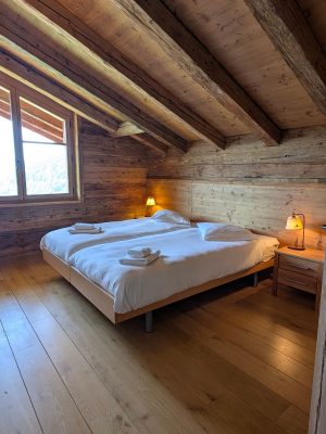 Pimprenelle cozyalpine (7)